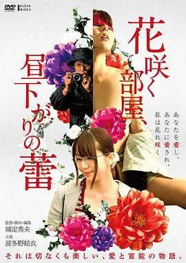 航海王红发歌姬 好看动漫网剧场版